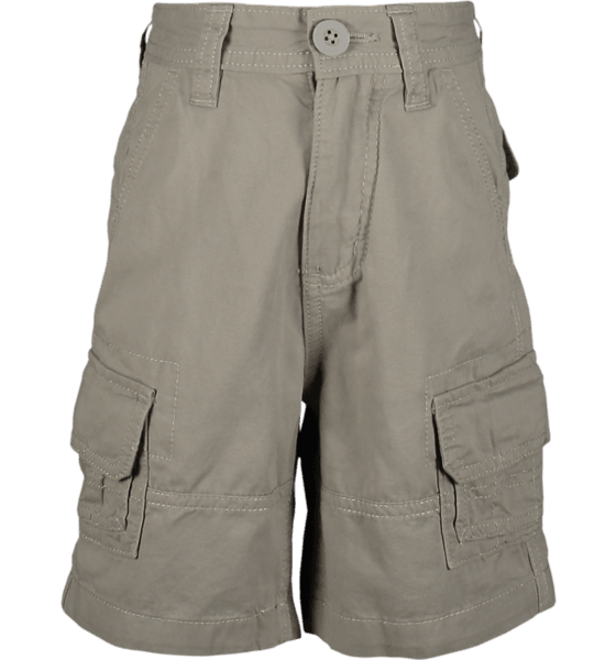 Cargo Shorts Png 2024
